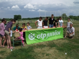 falunap2013_37_20180901